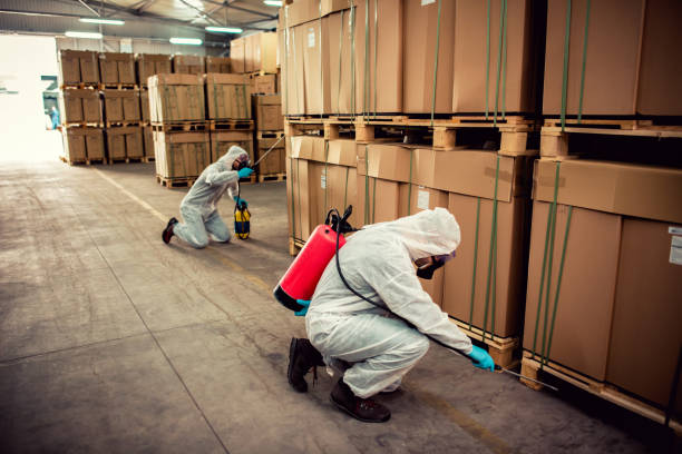 Best Cockroach Control Services  in Bainbridge, OH