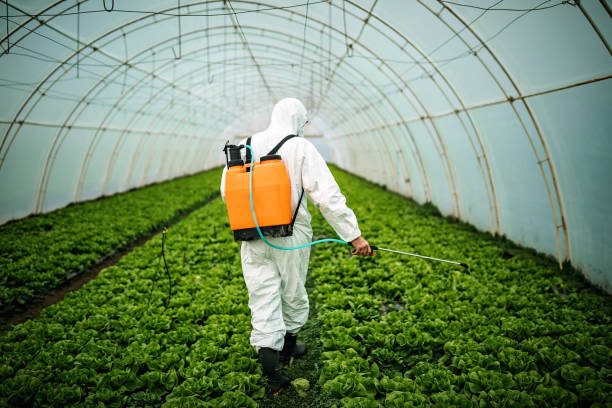 Best Pest Removal Services  in Bainbridge, OH