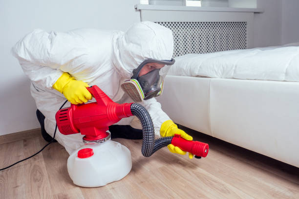 Best Bed Bug Extermination  in Bainbridge, OH