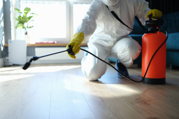 Professional Pest Control in Bainbridge, OH