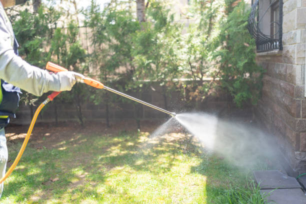 Best Local Pest Control Services  in Bainbridge, OH