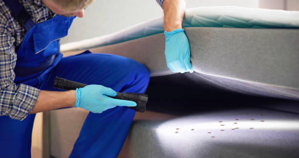 Best Pest Control for Restaurants  in Bainbridge, OH