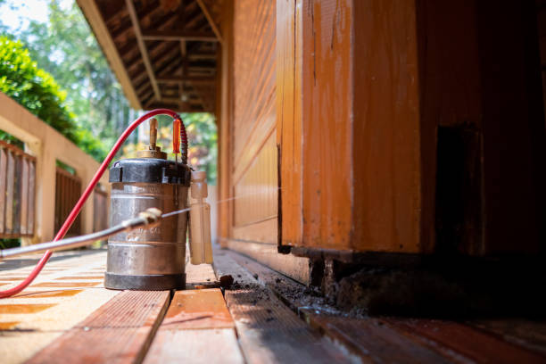 Best Mosquito Control Services  in Bainbridge, OH