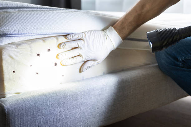 Best Mosquito Control Services  in Bainbridge, OH