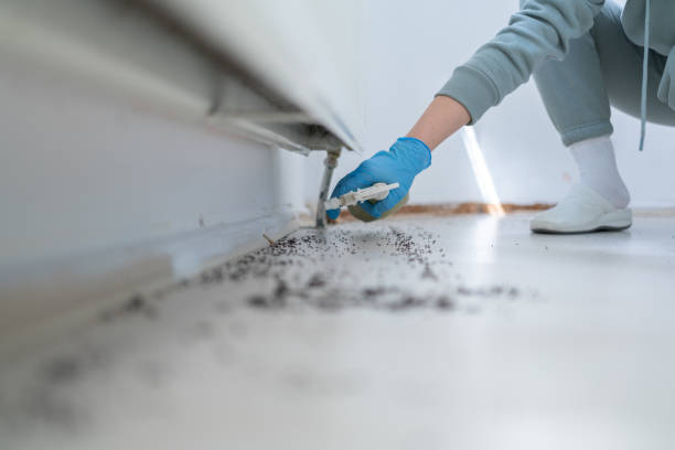 Best Affordable Pest Control Services  in Bainbridge, OH